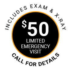 Emergency Exam special